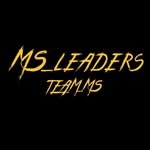 ms_leaders 프로필 사진