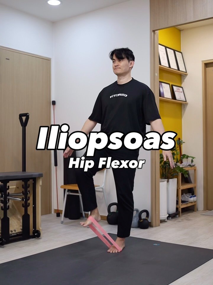 betterehab_academy 게시물 이미지: Iliopsoas Strength - Hip Flexor

1. Chop with...