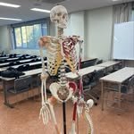 pt_mill 프로필 사진