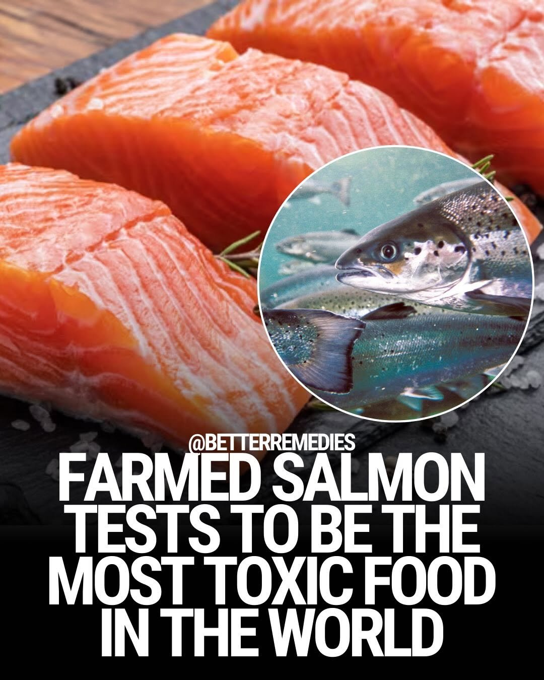 Photo shared by Natural Remedies on January 19, 2026 tagging @naturethecure. May be an image of fish, fillet and text that says '@BETTERREMEDIES FARMED SALMON TESTS ΤΟ ΒE ΗΕ MOST ΟΧΙΣ FOOD IN ΤΗΕ WORLD'.
