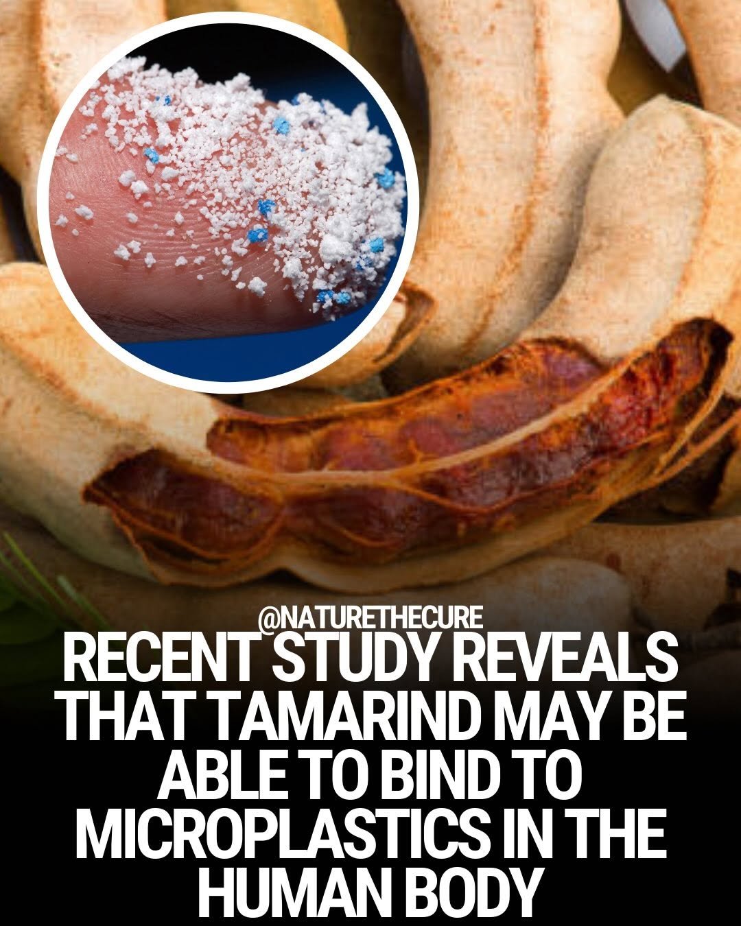 Photo shared by Natural Remedies on February 13, 2026 tagging @naturethecure. May be an image of text that says '@NATURETHECURE RECENT STUDY REVEALS THAT TAMARIND MAY BE ABLE TO BIND TO MICROPLASTICS IN HUMAN BODY'.