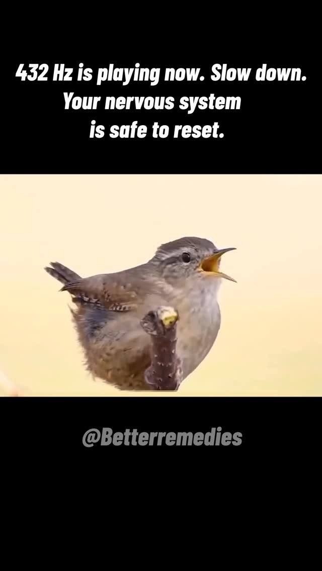 betterremedies 게시물 이미지: Your nervous system isn’t failing — it’s...