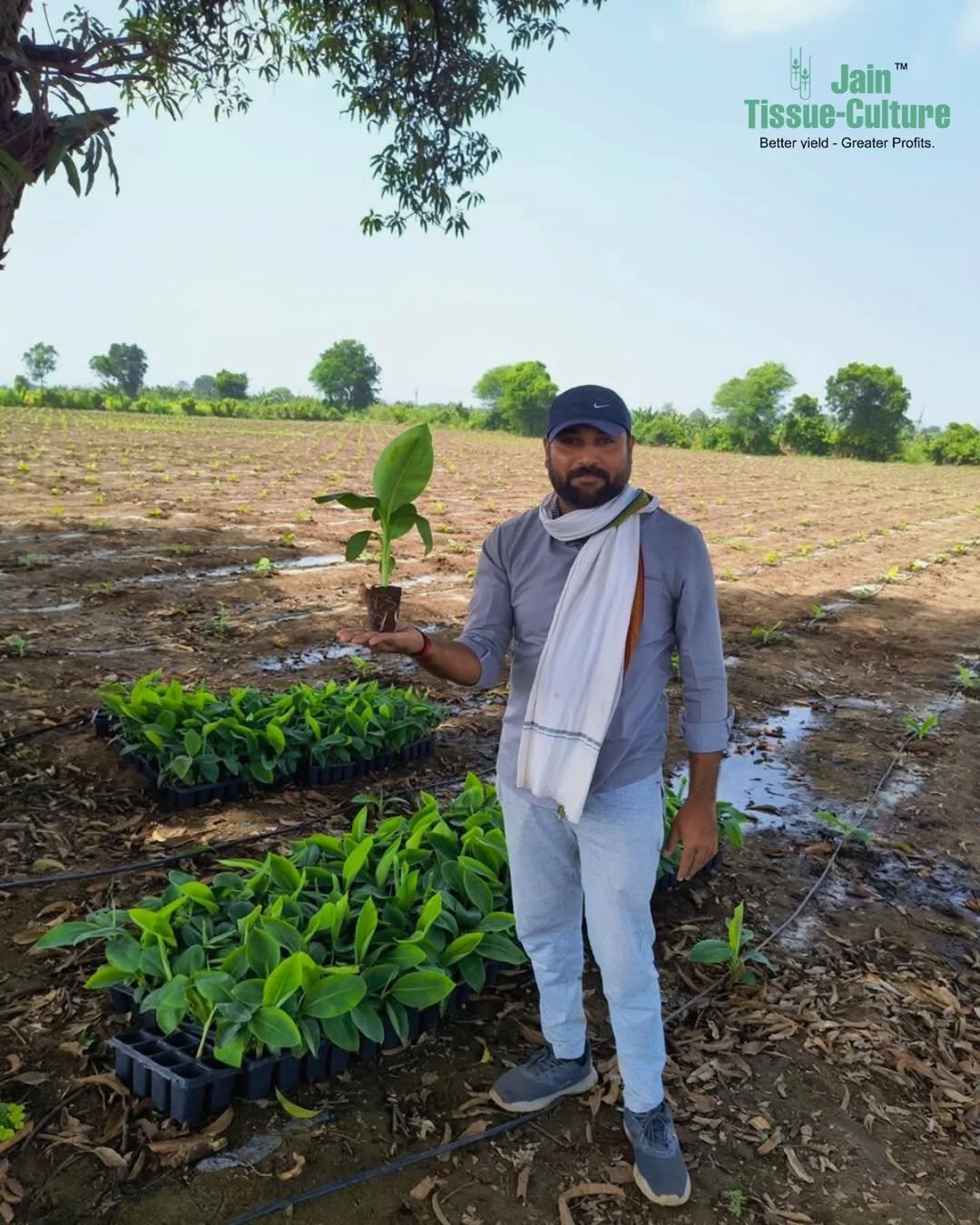 Photo by Jain HI-TECH Plant Factory🪴 \\ Jain Tissue Culture 🌱 on November 24, 2025. May be an image of text.