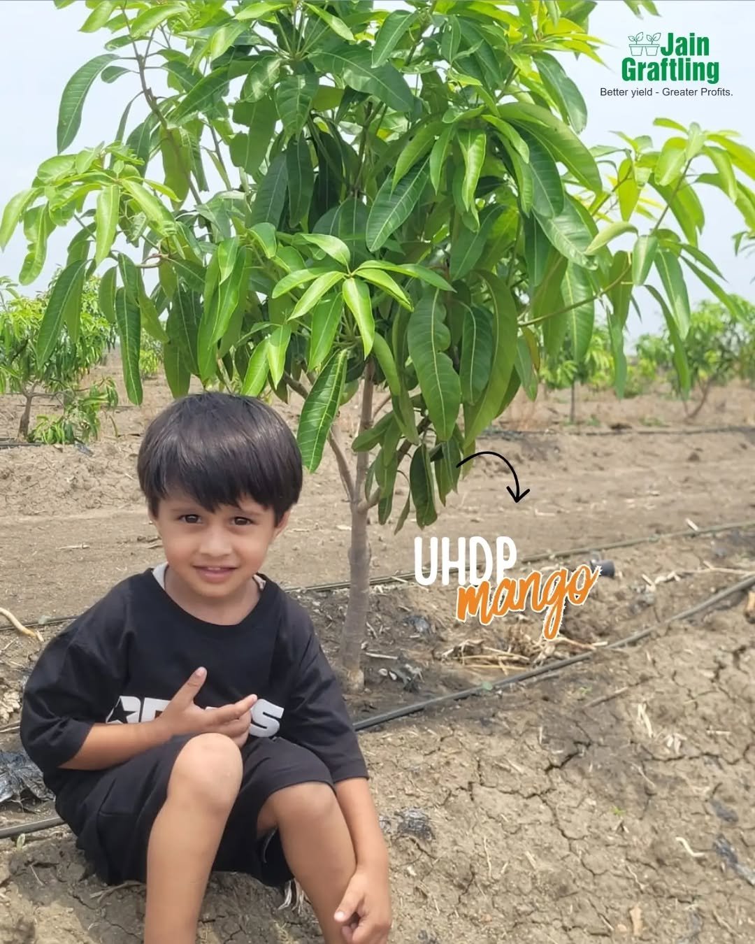 betteryields_greaterprofit 게시물 이미지: 🌱 Today, it’s a little tree.
Tomorrow, it’ll...