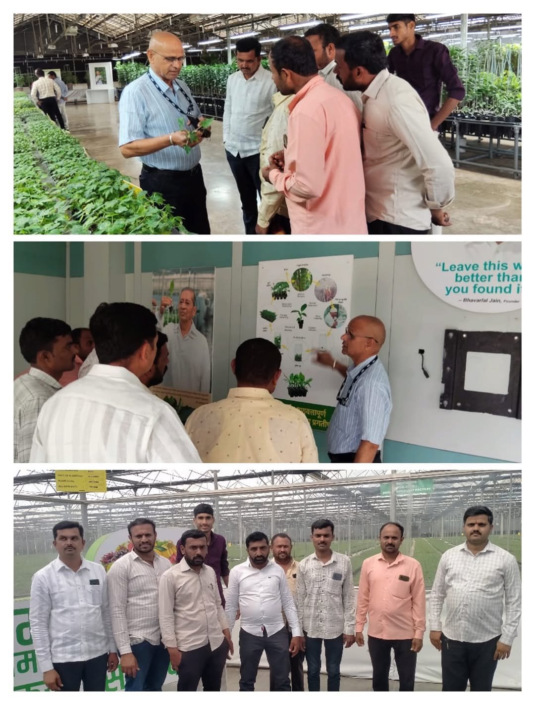 Photo shared by Jain Irrigation Systems Ltd. on January 11, 2026 tagging @betteryields_greaterprofit. May be an image of vegetable, plant and text that says '開 O "Leave this "Leavethis W better thai you youfoundi found Bhavarial fain d d म'.