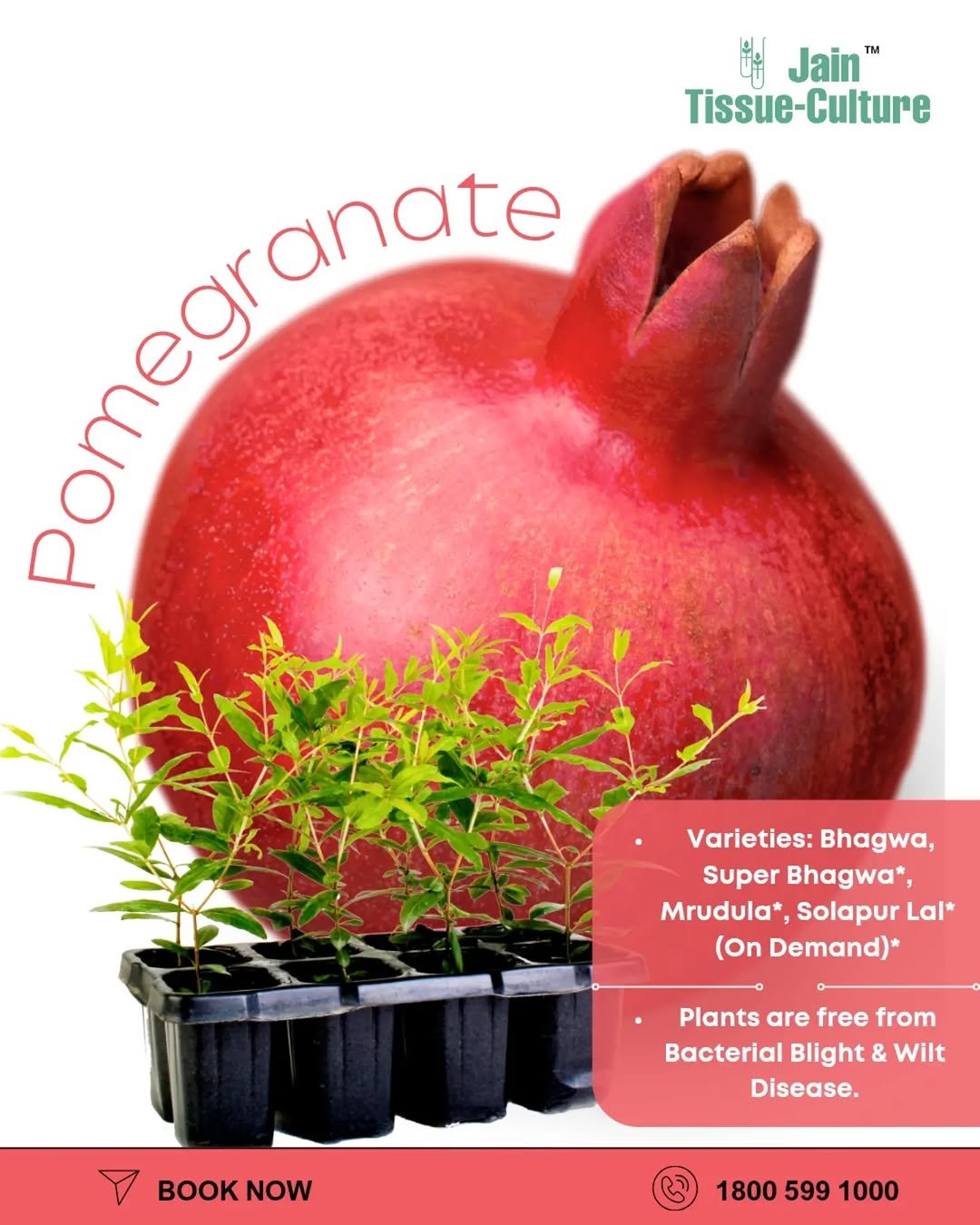 betteryields_greaterprofit 게시물 이미지: ❤️ It all begins with a healthy plant.

When...