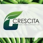 crescitaagro 프로필 사진