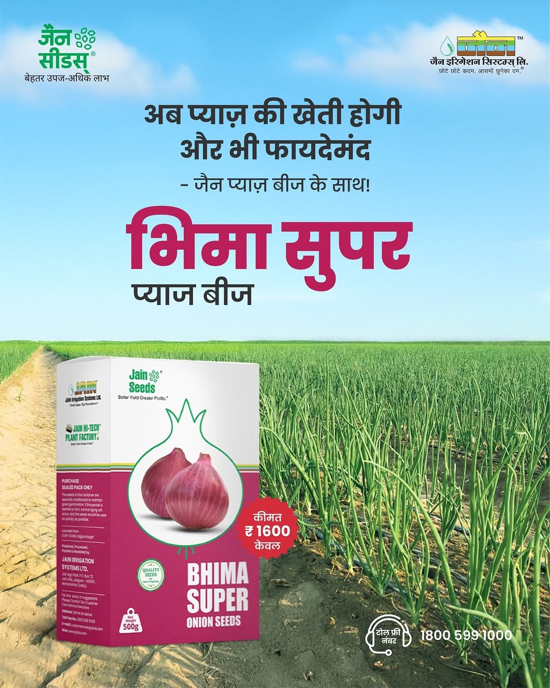 betteryields_greaterprofit 게시물 이미지: 🧅 तगड़ी फसल का तगड़ा साथी – Bhima Super प्याज़...