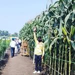 agricluture_lover_7672 프로필 사진