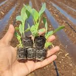 sheti_udyog9895 프로필 사진