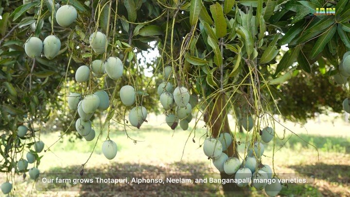 betteryields_greaterprofit 게시물 이미지: 🥭 What changed?

The journey from 3 tonnes to...