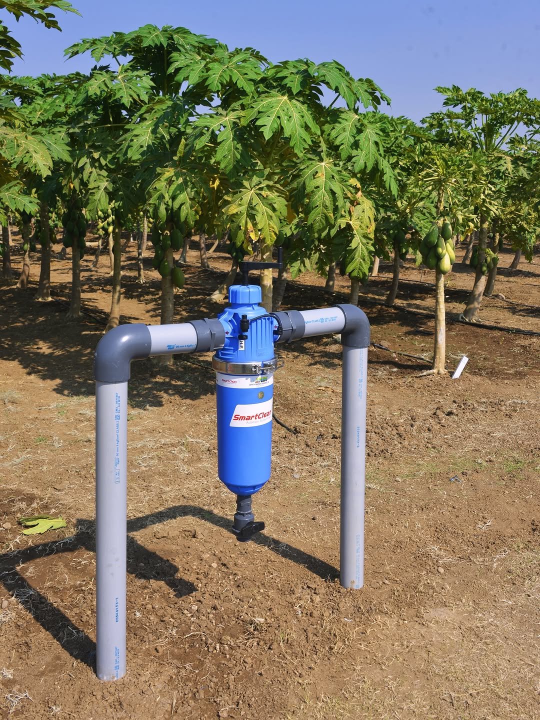 Photo shared by Jain Irrigation Systems Ltd. on November 22, 2025 tagging @betteryields_greaterprofit, and @jainpipes_. May be an image of text.