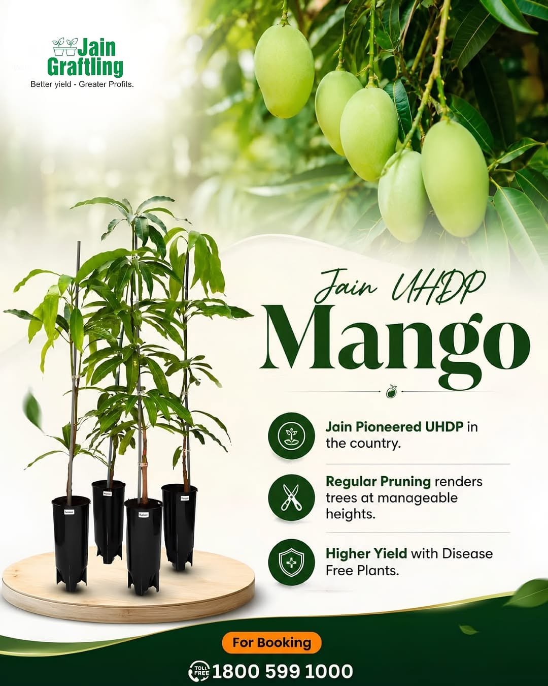 betteryields_greaterprofit 게시물 이미지: Plant today. Smile tomorrow. 🌱🥭

Jain UHDP...