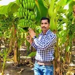 anil_jadhav_agricuture 프로필 사진