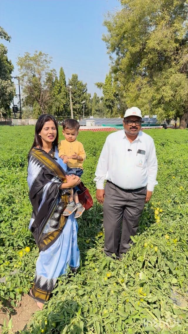 betteryields_greaterprofit 게시물 이미지: टोमेटो 🍅बागायतदार शेतकरी video नक्की बघा 🙏🏻🥕🥬🌽...
