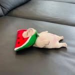 da.kyung.lee 프로필 사진