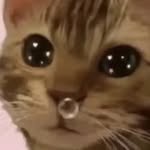 o2l4_h 프로필 사진