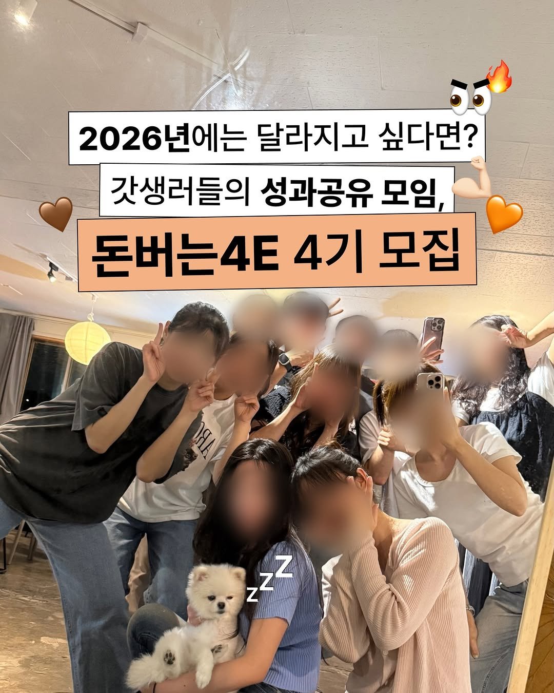 Photo by 뽀 | 공간대여 • N잡러 • 소셜링 • 갓생 on November 25, 2025. May be an image of Norwich terrier and text that says '2026년에는 달라지고 싶다면? 갓생러들의 성과공유 모임, 돈버는4ㅌ 4기 모집 z ZZ z- z z'.