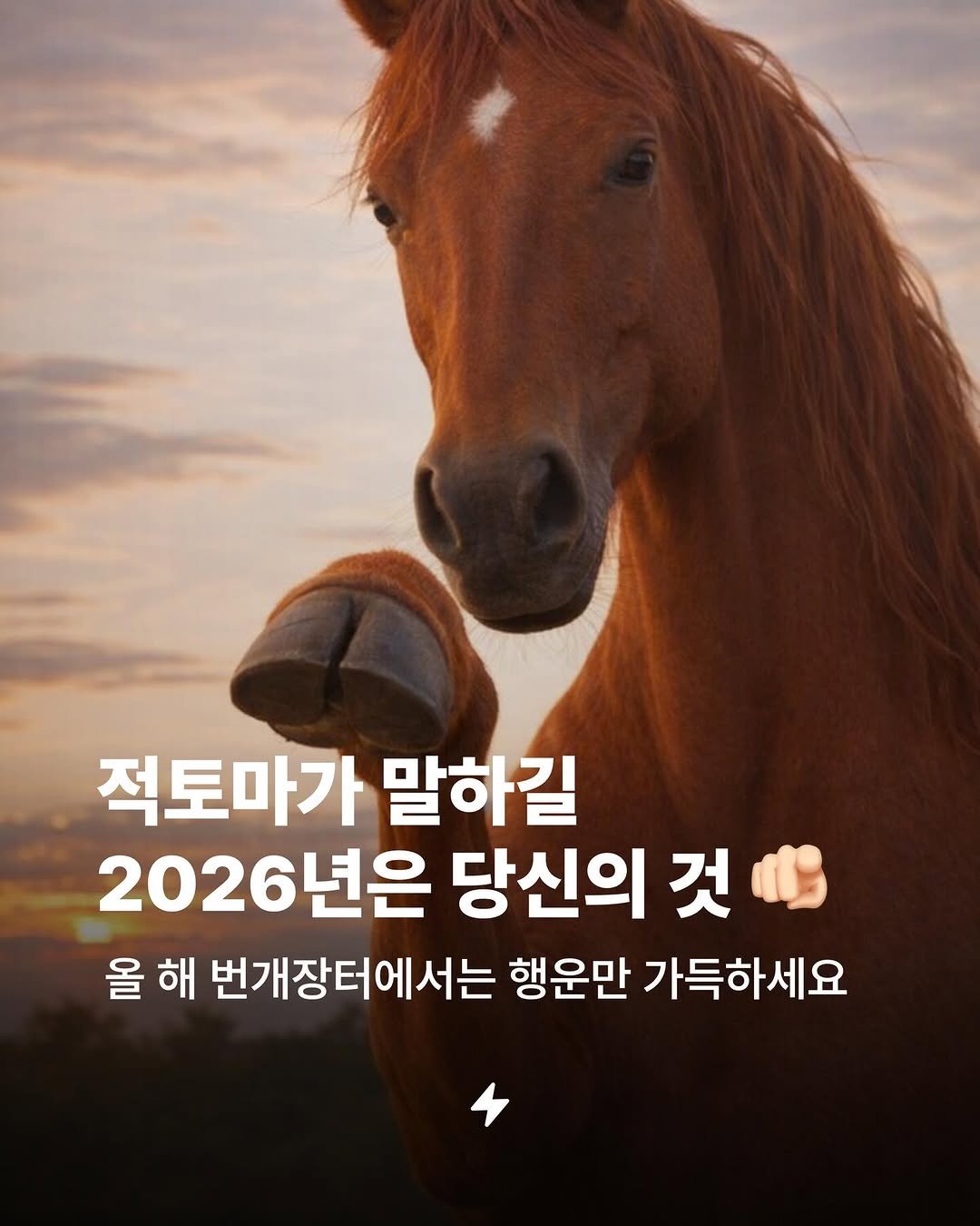 Photo by 번개장터 on January 02, 2026. May be an image of text that says '적토마가 말하길 2026년은 년은 당신의 것 올 해 번개장터에서는 행운만 가득하세요'.