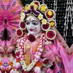 shreeji_vaale 프로필 사진
