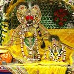 shri_hit_radhavallabh 프로필 사진