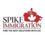 spikeimmi 프로필 사진
