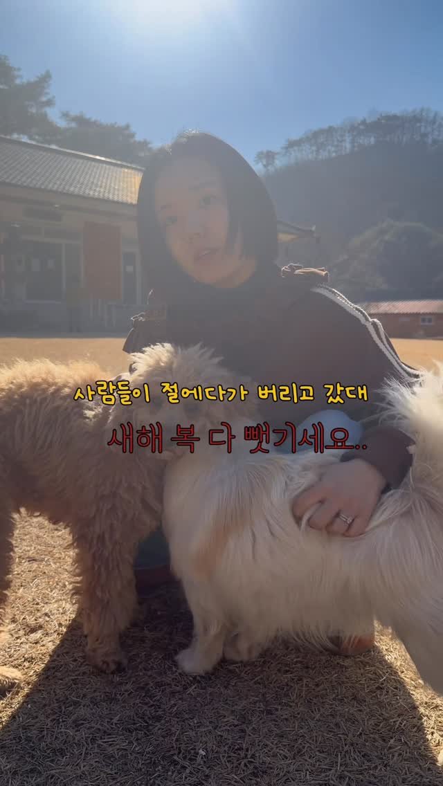 bibieungu 게시물 이미지: 너희들은 본디 사랑받을 인연이었나 보다.

잠시 길을 잃고 절 앞에 놓여졌지만,...