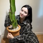 bibieungu