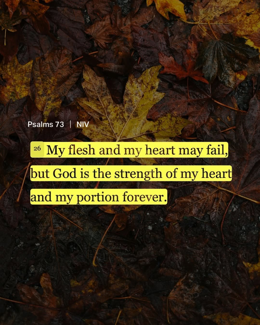bible 게시물 이미지: Psalms 73:26