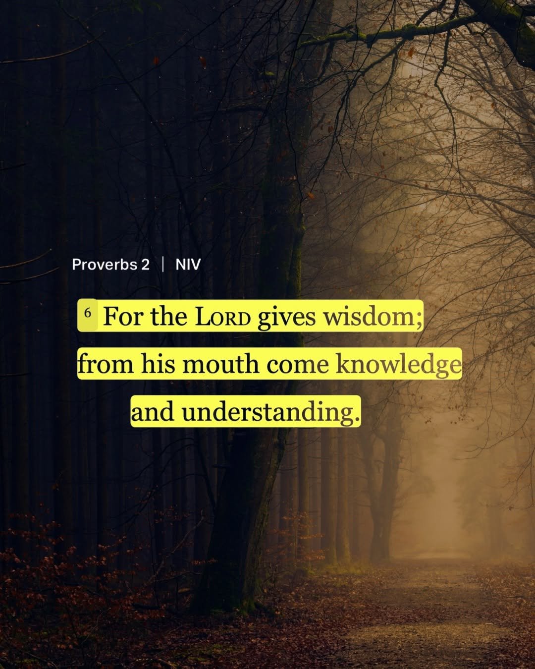 bible 게시물 이미지: Proverbs 2:6