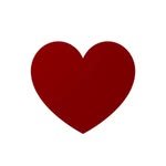 bible365_ 인스타그램 프로필 사진