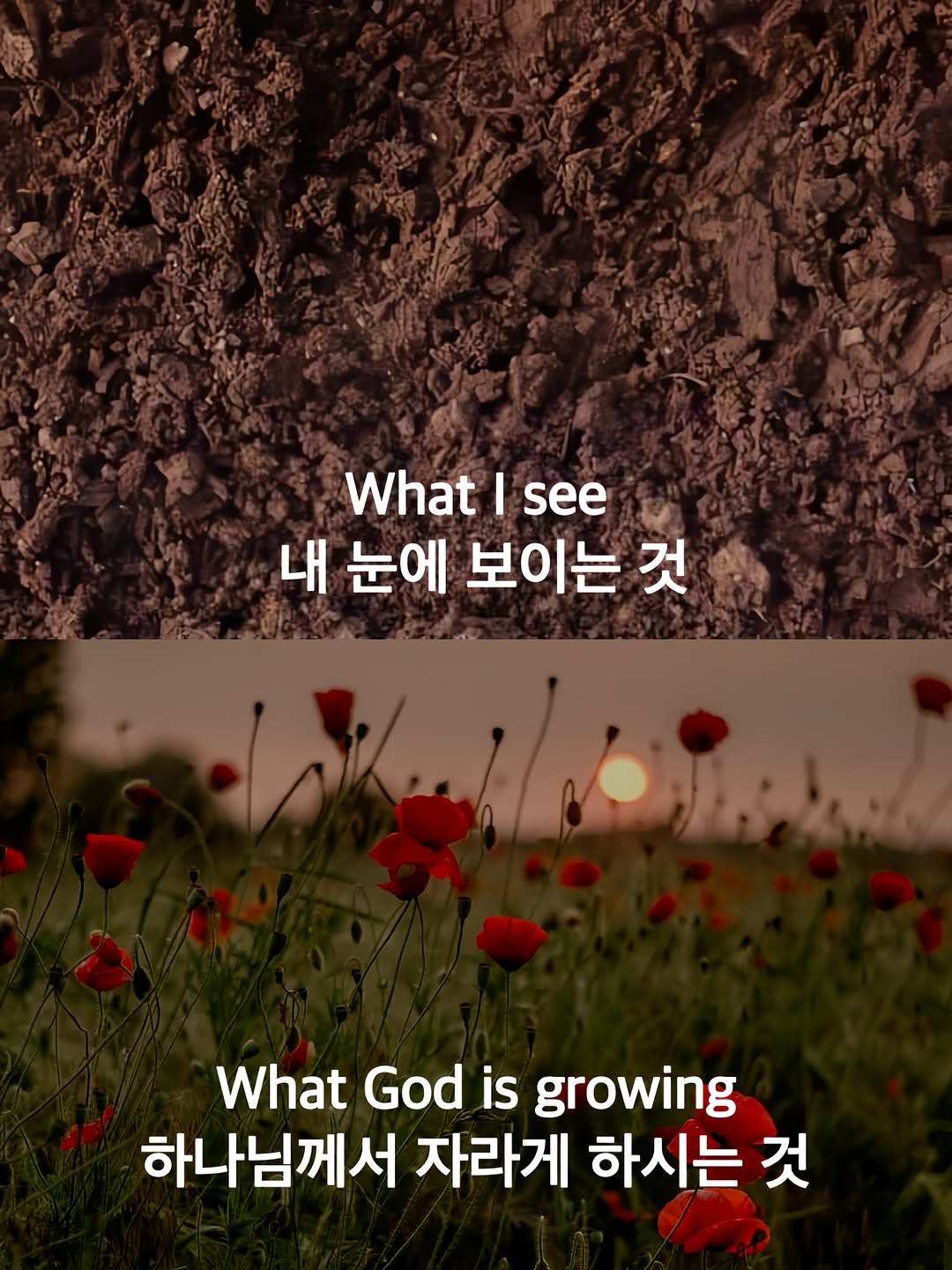 bible365_ 게시물 이미지: 믿음으로🏃‍♂️