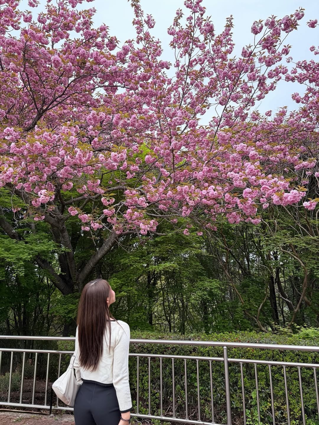 bible___kim 게시물 이미지: 4월 이모저모