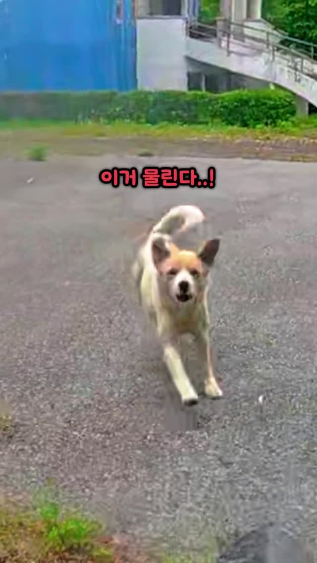 bicycle_reader 게시물 이미지: 죽을뻔 했습니다...!