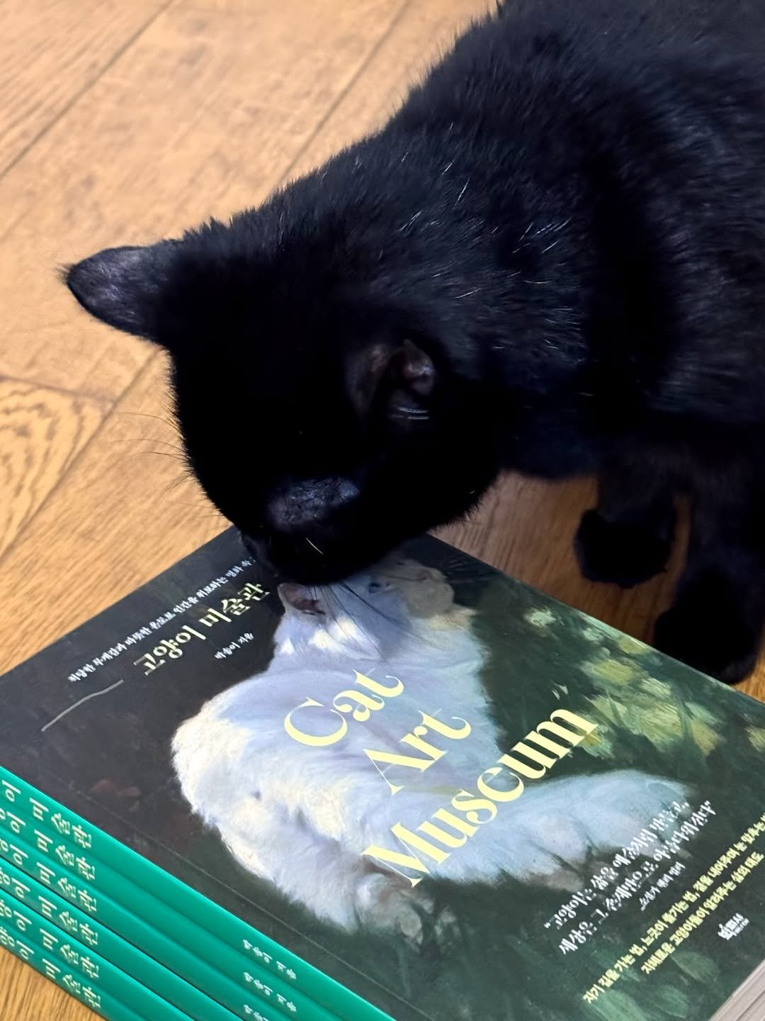 Photo by 빅피시 on September 24, 2025. May be an image of kitten, book and text.