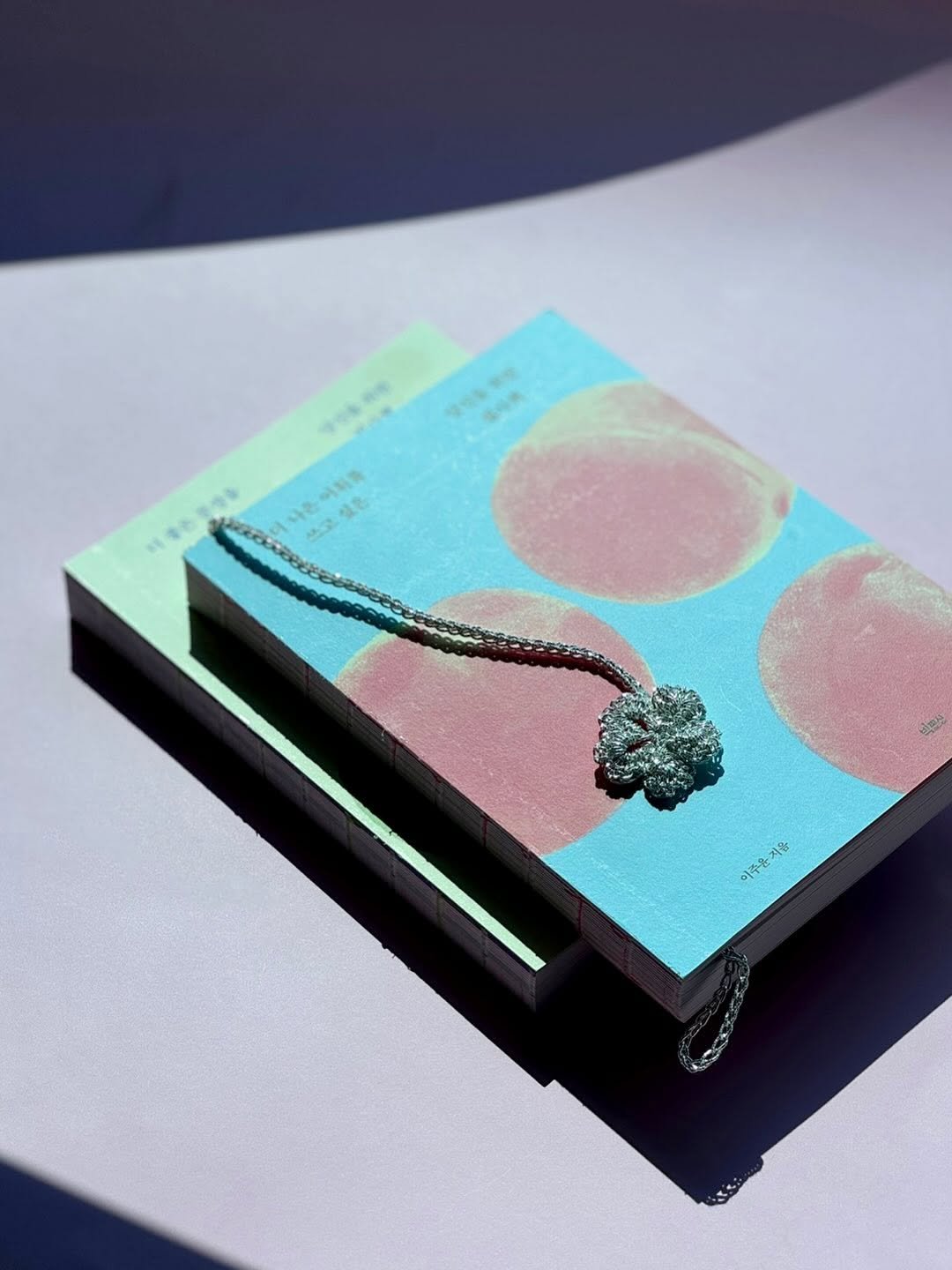 Photo by 빅피시 on July 24, 2025. May be an image of book, diary, necklace and text.
