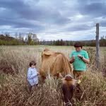 mistybrookfarmme 프로필 사진