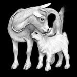 rockbottomfarmme 프로필 사진