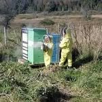 violethillfarm 프로필 사진