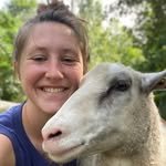 yankeerockfarm 프로필 사진