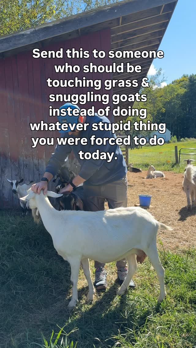 bigpicturefarm 게시물 이미지: Send this to the friend you’re bringing to...