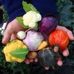 woodthrushfarm 프로필 사진