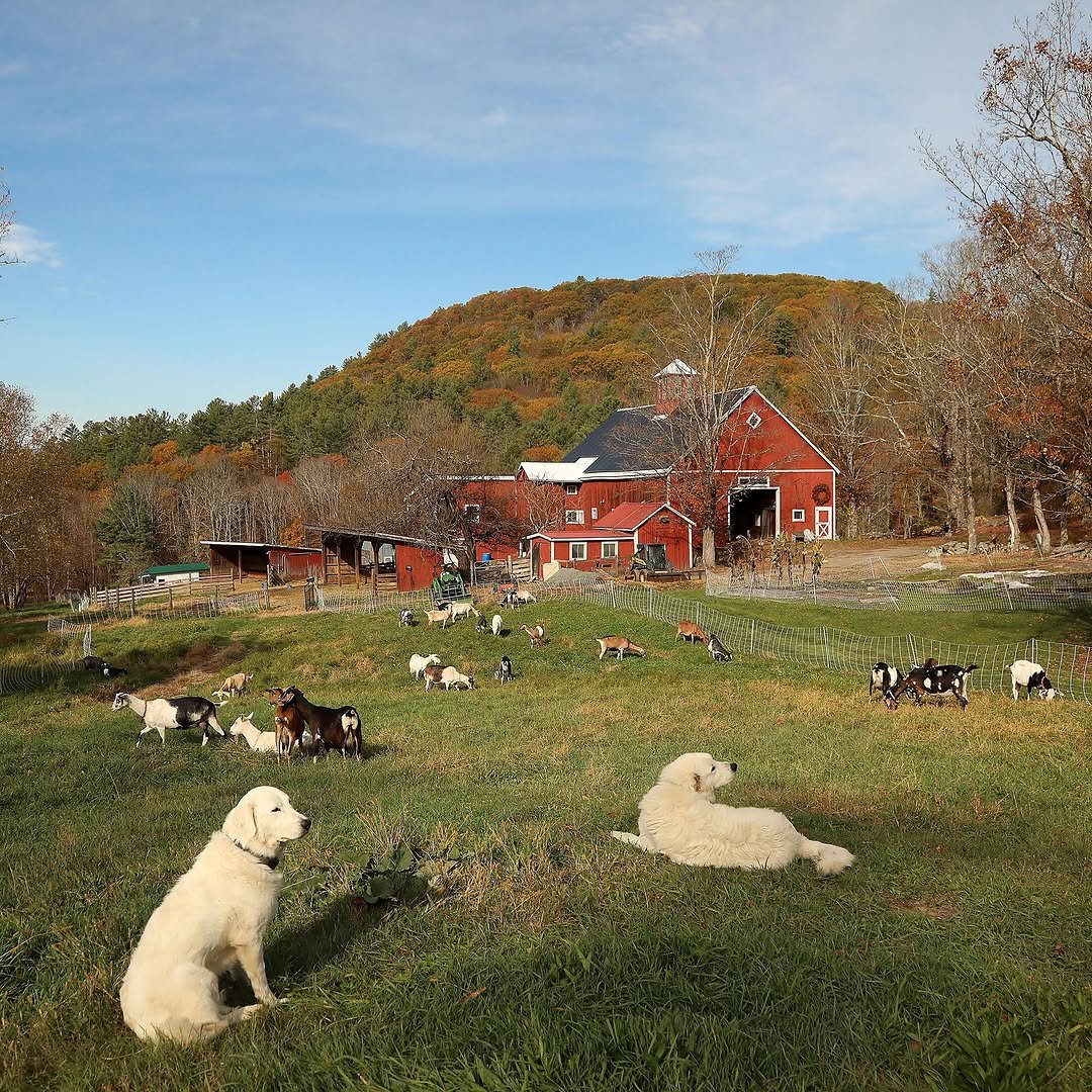 bigpicturefarm 게시물 이미지: Home.
