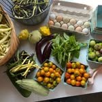 biscuitwoodfarmny 프로필 사진