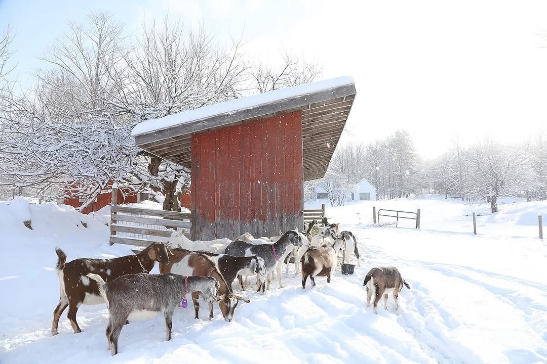 Photo by Louisa, She/her on March 26, 2025.