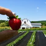 lastresortfarm 프로필 사진