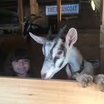 tenapplefarm 프로필 사진