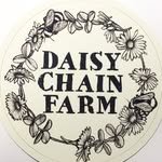 daisychainfarm 프로필 사진