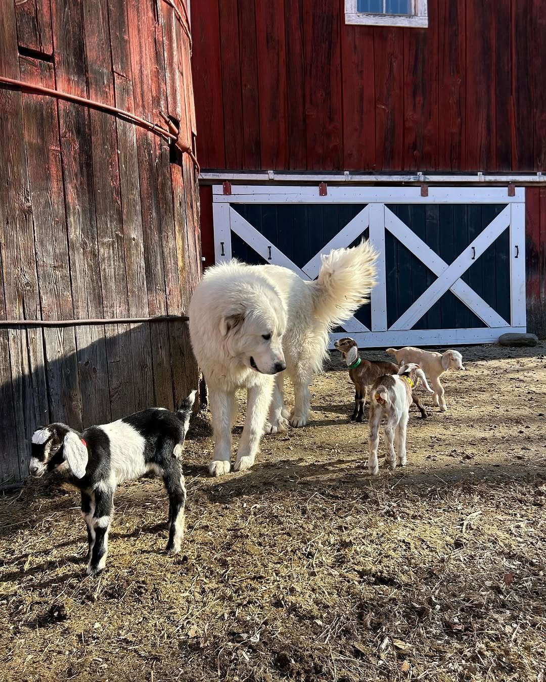 Photo by Louisa, She/her on April 18, 2025.