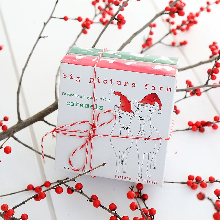 Photo by Louisa, She/her on December 01, 2024.